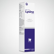 Lapharma Lysine Lizin Solunum Takviyesi Malt 100 gr