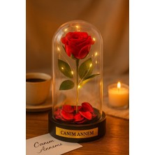 Home Dekor Hediye Annelere Özel Dekoratif Hediye Mika Fanus Içinde canım Annem Yazılı LED Işıklı Yapay Kırmız GÜL 20CM