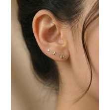 İndigo Takı Taç Yıldız Nokta Kombin 14 Ayar Altın Küpe