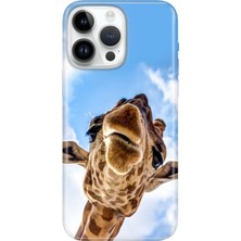 Adasena iPhone 15 Pro Max Kılıf Desenli Baskılı Tpu Rubber Kapak Öpücük