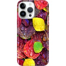 Adasena iPhone 15 Pro Max Kılıf Desenli Baskılı Tpu Rubber Kapak Sonbahar