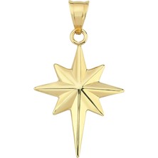 Altın Sepeti Altın Sade Kutup Yıldızı Kolye