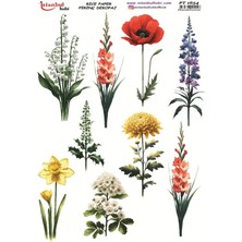 E Hobici Pirinç Dekopaj Kağıdı 30X42CM PT-1654 Çiçek