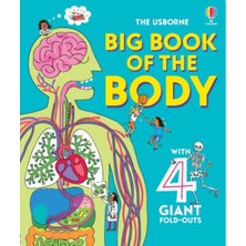 Usborne Big Book Of The Body