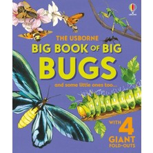Usborne Big Book Of Big Bugs