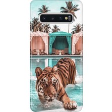 Senada Samsung Galaxy S10+ Plus Kılıf Desenli Baskılı Tpu Rubber Kapak Hangover