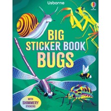 Usborne Big Sticker Book Bugs