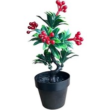 Xesha Yapay Çiçek Saksıda Kokina Mutluluk Huzur ve Şans Sembolü Ev Dekor Süs Bitkisi