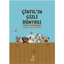 Bilge Tasarı Yayınevi Çintıl'ın Gizli Dünyası