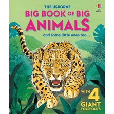 Usborne Big Book Of Big Animals