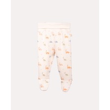 Hoogie %100 Organik Pamuk Gots Sertifikalı Patikli Dinozor Desenli Bebek Pantolon - Ekru