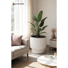 Vega Model Büyük Dekoratif Modern Saksı ve Vazo 30 Lt ( 36.6 cm x 36.6 cm ) Iç Hazneli