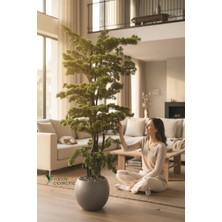 Yapay Çiçekçiniz Modern Küre Saksıda 180 cm Yoğun Yapraklı Lüks Bonzai Bonsai Ağacı