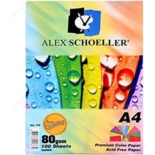 Storemax Schoeller A.FTK.KGT.450.01 A4 100&APOS;LÜ Fotokopi Kağıdı Karışık Renkli - 779