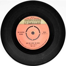 The Electric Prunes - Get Me To The World On Time (107) PLK9170