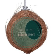 Hindistan Cevizi Kuş Yuvalığı (Büyük Boy Cennet)