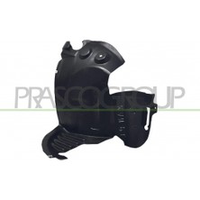 BSG Renault Megane Iı 2003- Kapı Içi Tutamak Plastiği Krom Takım Oem No (7701476922)