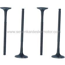 Sevgents Mondial Rx3 Evo Sibop 4 Lü Set Tırnaklı 24-28-100-5 mm