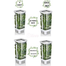 İliva 4 Lü Yeşillik Saklama Kabı, Sebze Saklama Kabı, Uzun Ömürlü Tazelik