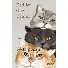 AriaTech Kediler Güzel Uyanır