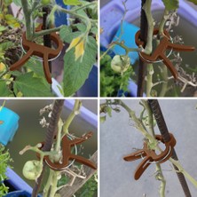 Dme Flora Bitki Bağlama Destek Mandalı 10 Adet Orta Boy