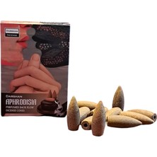 Morey Darshan Aphrodisia Geri Akış Tütsü 1 Box (12 Adet)