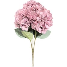 Lara Decor - Lila 5'li Ortanca Demeti