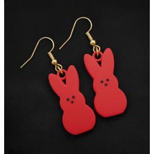 Kanem3D 2 Çift Sevimli Tavşan Küpeler