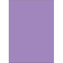 Viva Puti Eva 50X70 Klasik 10'lu Mor