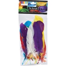 Südor Boya Südor Tüy 12’li Karışık Poşet