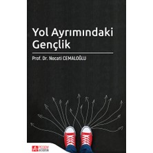 Pegem Akademi Yayıncılık Yol Ayrımındaki Gençlik