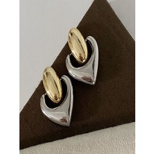 H&S Aksesuar Tasarım Çift Renk Kalpli Çelik Küpe