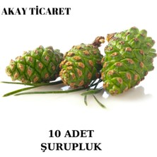 Empressco Doğal Yeşil Çam Kozalağı 10 Adet, Taze ve Şurupluk, Sağlık Dolu Kozalaklar