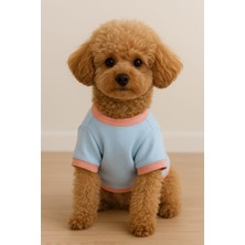 Atölye Zuzu Küçük Irk Köpek Sweatshirt – El Yapımı Pamuk Penye, Yumuşak & Rahat