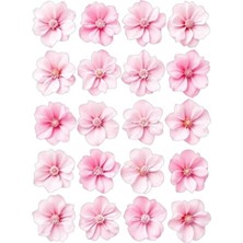 Telaşe Memuru Yenilebilir Açık Pembe Çiçek Pasta Süsü - Yenilebilir Pasta Süsü - Çiçek Baskısı - Model 2