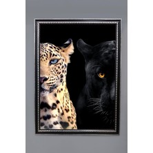 Dolce Mariee Jaguar ve Leopar Desenli Dijital Baskılı Kadife Kumaş Çerçeveli Tablo TBL0063