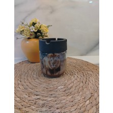 Cam Kavanoz Küllük Aslan