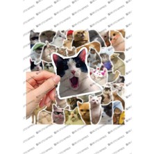 One Little Happiness Çılgın Kediler Macbook Notebook Tablet Telefon Ajanda Laptop Defter Sticker Seti