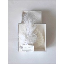 Candles Flame 50 Adet Kutulu Istiridye Hediyelik Mum Süslemeli Yeni Sezon Söz Nişan Nikahdüğün Hediyelikleri