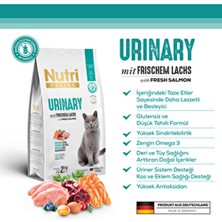 Nutri Feline Nutrı Felıne - Urınary (Üriner Sistem / Böbrek ve Idrar Yolu Sağlığı Için) 2 kg
