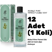 Rebul Pine Forest Edc 250ML Cam Şişeli Çam Ormanı Kokulu Kolonya 12 Adet (1 Koli)
