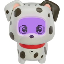 Petz Dalmaçyalı Evcil Hayvanını