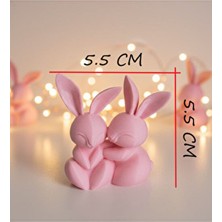 Ev Hediyesi Sevimli Tavşan Dekoratif Obje Biblo