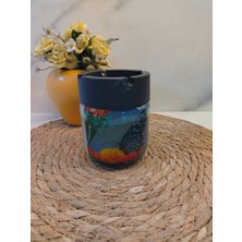 Cam Kavanoz Küllük Kelebek