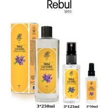 Rebul Lavanda (Lavanta) Edc Kolonya 250ML Cam Şişeli, 125ML - 50ML Pet Sprey Şişeli 3'lü Set (9 Ürün)