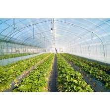 Vatan Plastik 36 Aylık Sera Naylonu 350 Mikron Uv-Ab-Ir-Eva-Ld Katkılı ( Süper Kalınlık, Dayanıklılık Sera Örtüsü  )