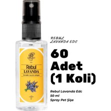 Rebul Lavanda Edc 50ML Sprey Pet Şişe 60 Adet (1 Koli) Lavanda Kokulu Kolonya