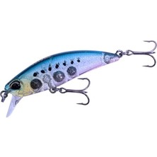 CetKing Tetra Works Toto 48HS CCC0475 Sardine Spirit