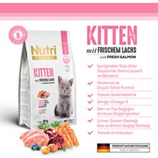 Nutri Feline Kitten Taze Somonlu ve Glutensiz Yavru Kedi Maması 2 kg