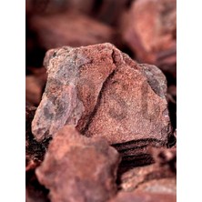 CetKing Ithal Çam Kabuğu 10-20 mm 3 Litre